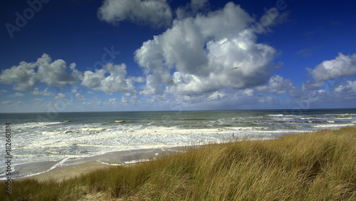 Düne im Wind mit Blick auf die Nordsee