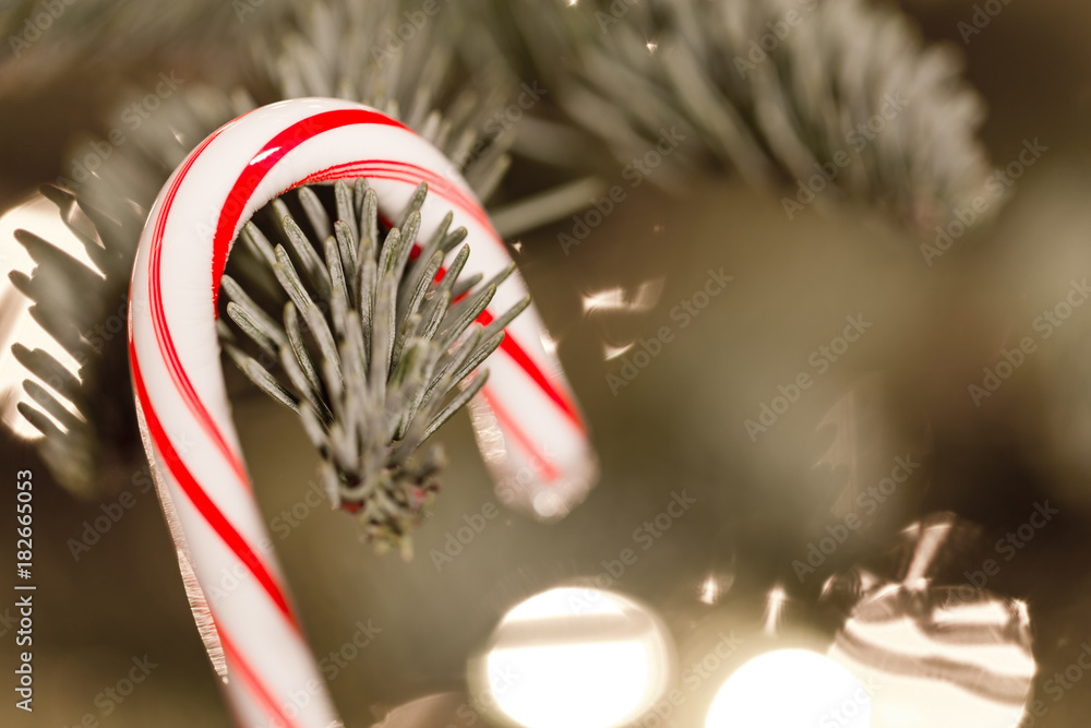 Candy cane hanging on a Christmas tree