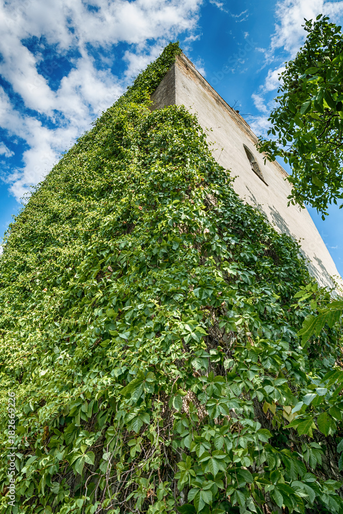 Naklejka premium Abandoned church in Banostor from Serbia