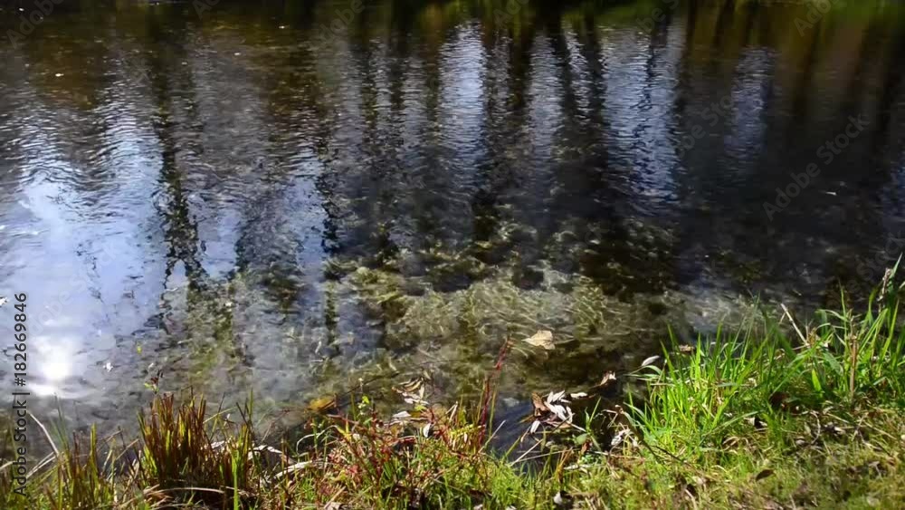 acqua limpida di fiume scorre mentre il sole si specchia con colori autunnali acqua limpida di fiume scorre mentre il sole si specchia con colori autunnali