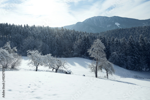 Snowy winter countryside landscape at sunny day.