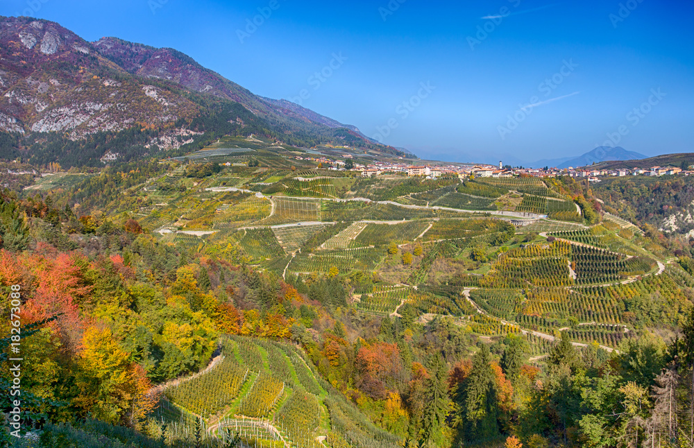 Autumn view of the town of Tuenno on the background in the Val di Non, in  Trentino Alto Adige, Trento province, Italy