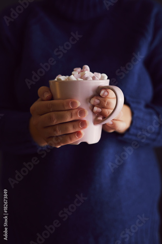 Wallpaper Mural Female hands with pink mug of hot chocolate and marshmallow Torontodigital.ca