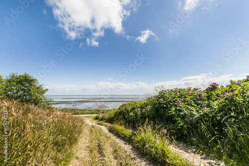 Path to Wadden Sea, Keitum, Sylt, Schleswig-Holstein, Germany