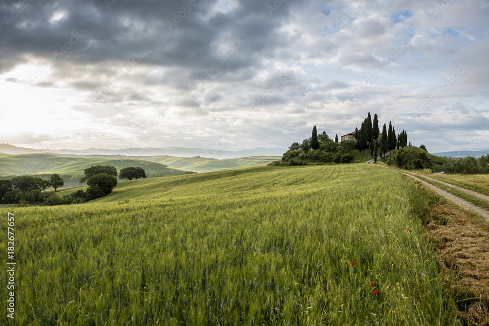 landscape near San Quirico d`Orcia, Val d`Orcia, province of Siena, Tuscany, Italy, UNESCO World Heritage landscape near San Quirico d`Orcia, Val d`Orcia, province of Siena, Tuscany, Italy, UNESCO World Heritage
