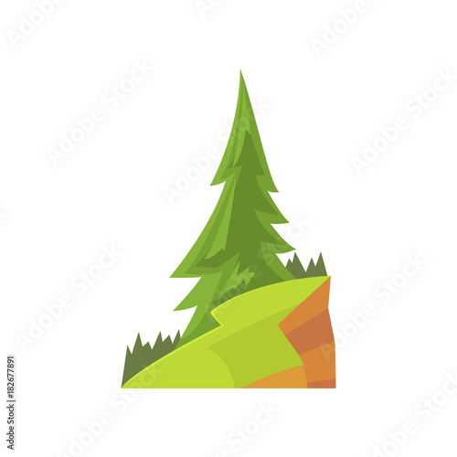 Landscape scene with fir tree and green grass on the hill. Colorful forest nature design element for infographic, game or botany book. Flat vector