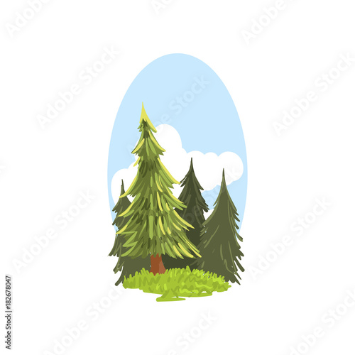 Detailed hand drawn landscape scene with evergreen firs and green grass. Coniferous tree. Colorful forest, woodland nature. Flat cartoon vector.