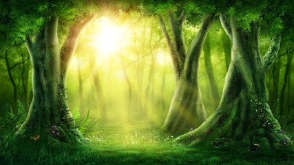 Poster Sprookjeswereld Donker magisch bos met mist  © Elena Schweitzer