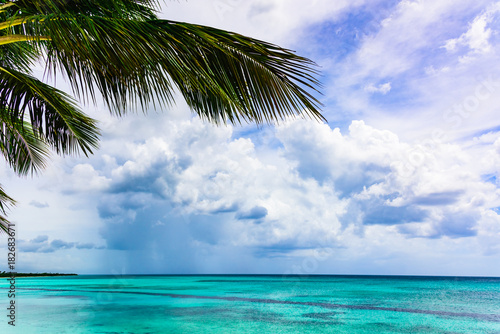 Fototapeta Naklejka Na Ścianę i Meble -  paradise resort beach palm tree sea Dominican Republic