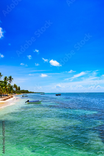 Fototapeta Naklejka Na Ścianę i Meble -  paradise resort beach palm tree sea Dominican Republic