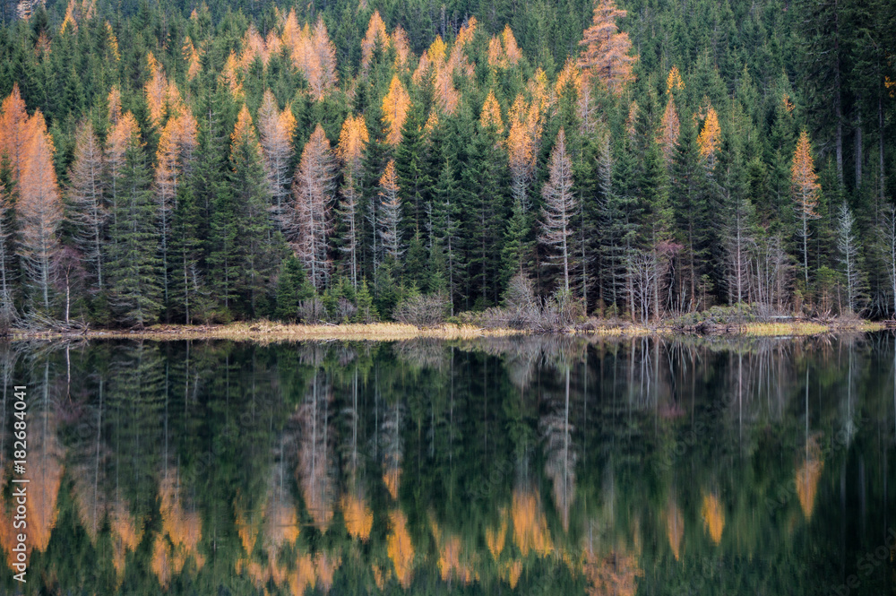Lovely green and yellow forest foliage mirrored in the pristine waters of Ingeringsee