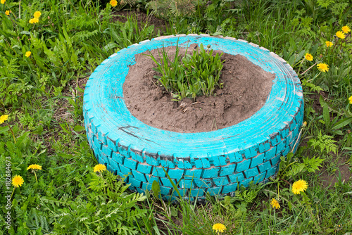 Homemade flowerbed from a tire