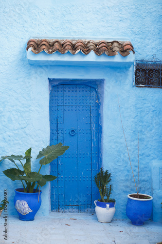 Blue vases with green plants stand before blue wall with blue doors somewhere in Morocco © IVASHstudio