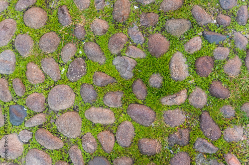 Covered with a quality paving stone in daylight