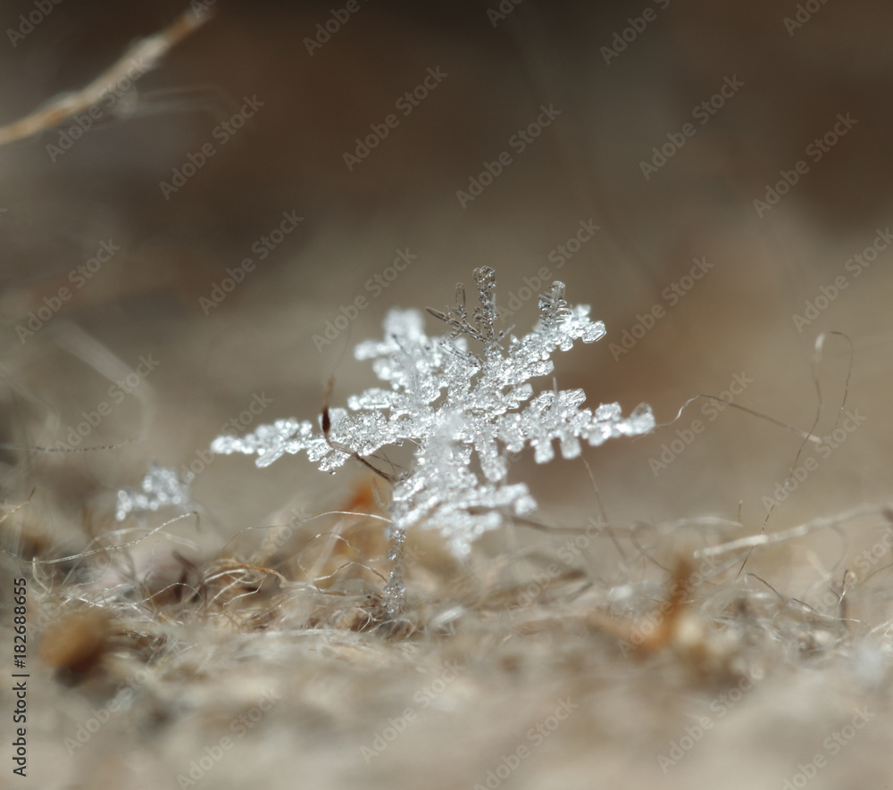 Macro of snowflakes on burlap