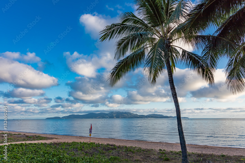 Palm tree along beach looking out to tropical island. Palm tree along beach looking out to tropical island.