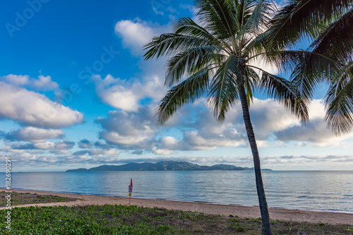 Palm tree along beach looking out to tropical island.
