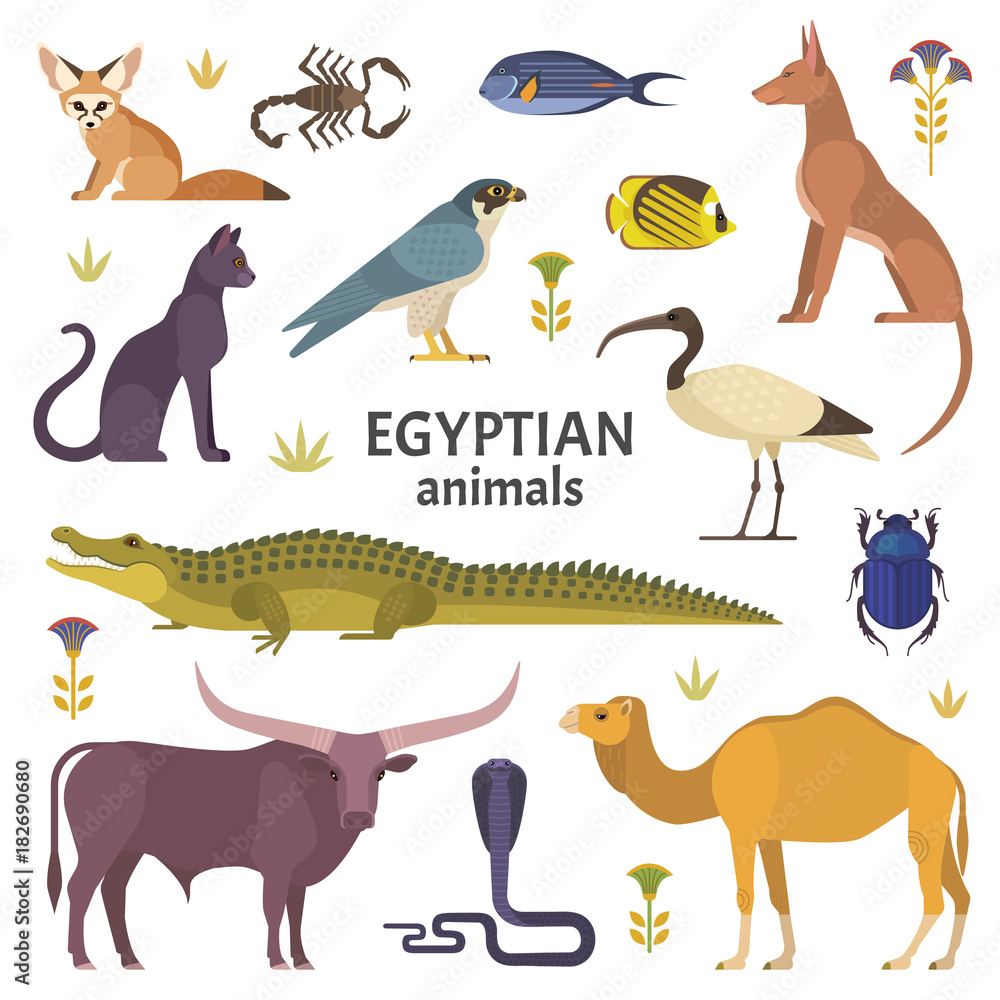 Egyptian animals. Vector illustration of African animals, such as camel, crocodile, buffalo, ibis, cat, Egyptian dog, and scorpio isolated on white.