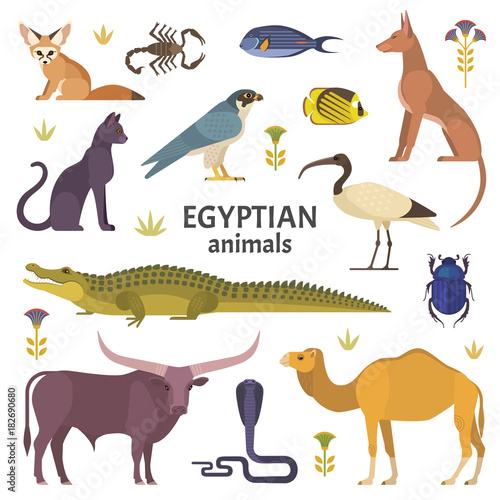 Egyptian animals. Vector illustration of African animals  such as camel  crocodile  buffalo  ibis  cat  Egyptian dog  and scorpio isolated on white.