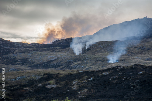 Aftermath of Gorse Fire, Ireland