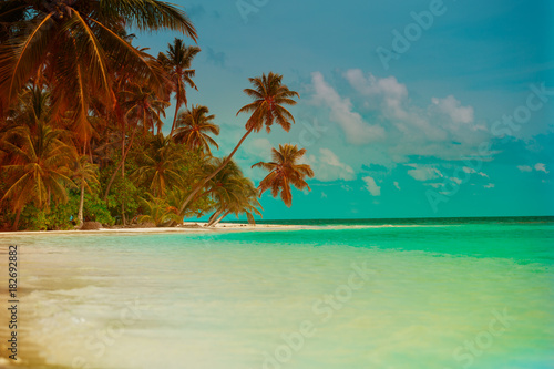 Fototapeta Naklejka Na Ścianę i Meble -  tropical sand beach with palm trees