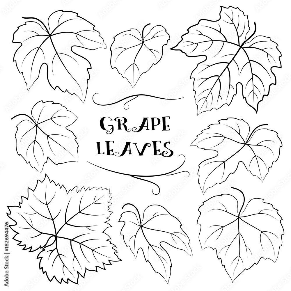 Grapes Leaves Black Contour Pictograms Isolated on White Background