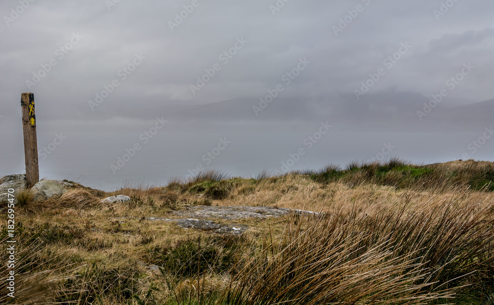 Fototapeta premium Seep's Head Peninsular on the Wild Atlantic Way, Ireland