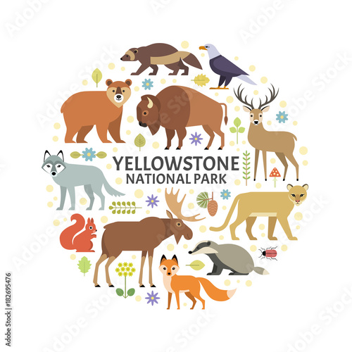 Vector illustration of Yellowstone National Park animals and plants arranged in a circle. Moose, elk, bear, wolf, fox, bison, badger, wolverine, mountain lion, bald eagle, isolated on white.