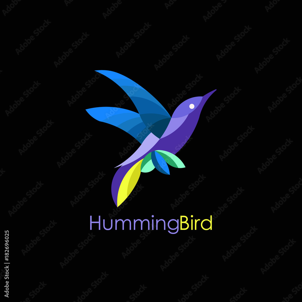 Obraz premium hummingbird vector logo