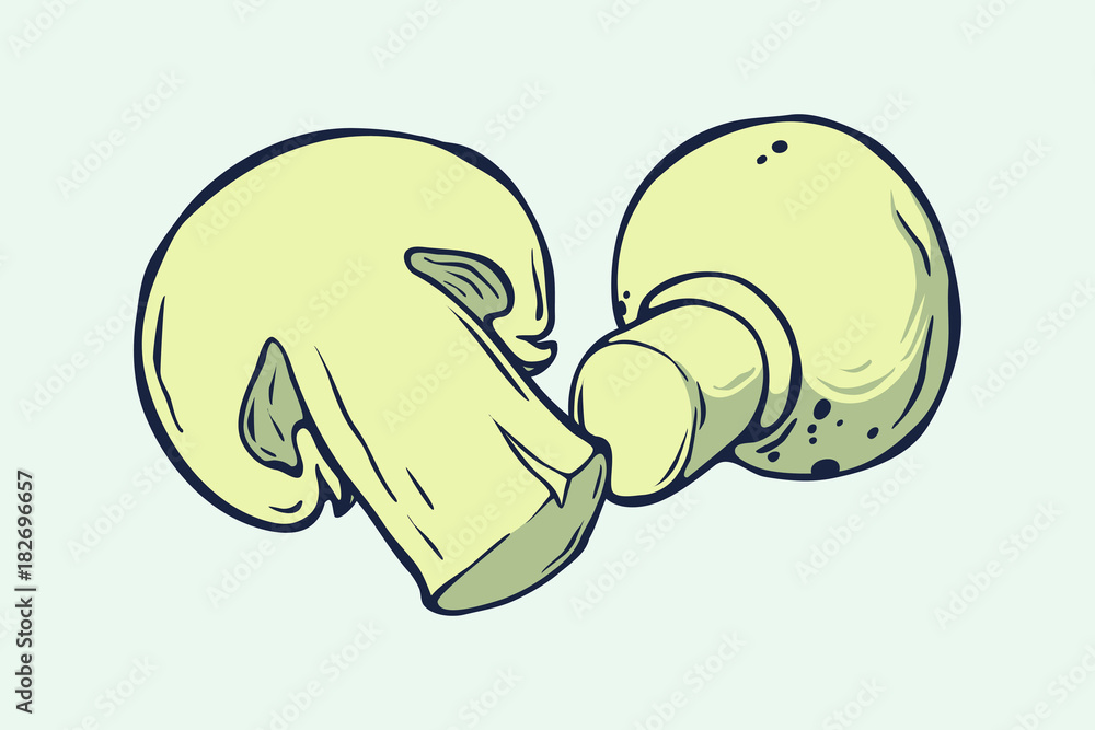 Vector healthy food illustration. Champignons hand drawn sign. Good for leaflets, cards, posters, prints, menu. Vector healthy food illustration. Champignons hand drawn sign. Good for leaflets, cards, posters, prints, menu.