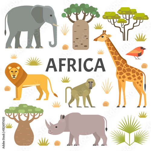 Vector illustration of African animals and plants  lion  baboon  elephant  giraffe  rhino  trees and grass  isolated on light background.