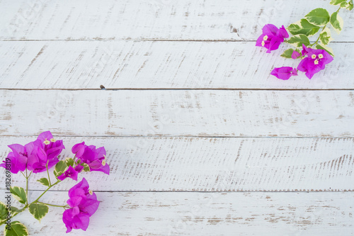 Fototapeta Naklejka Na Ścianę i Meble -  Purple flowers on white wooden background.