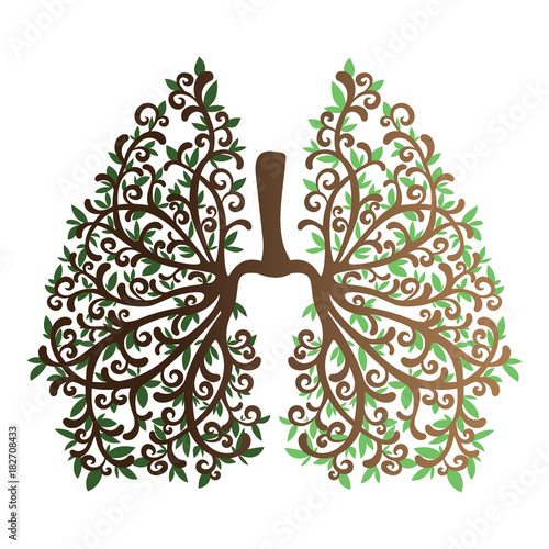 Human lungs. Respiratory system. Healthy lungs. Light in the form of a tree. Line art. Drawing by hand. Medicine.
