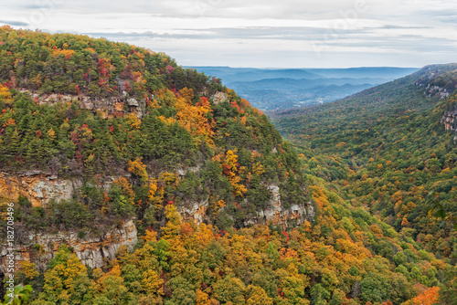 Overlook View At Cloudland Canyon State Park In Georgia