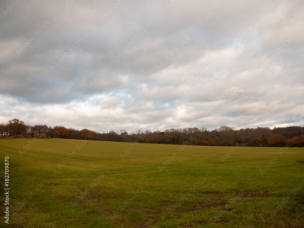 Fototapeta premium empty grass land plain country no people green cloudy sky