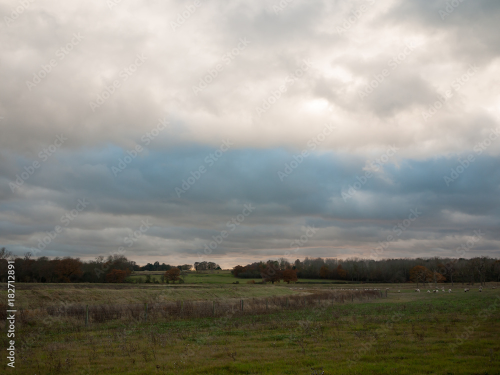 open grass land country field plain green white cloudy sky