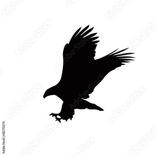 Black silhouette of eagle  isolated on white background.