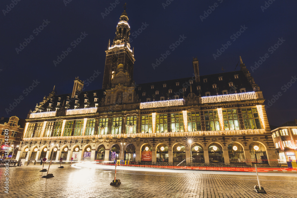 Obraz premium Leuven library 