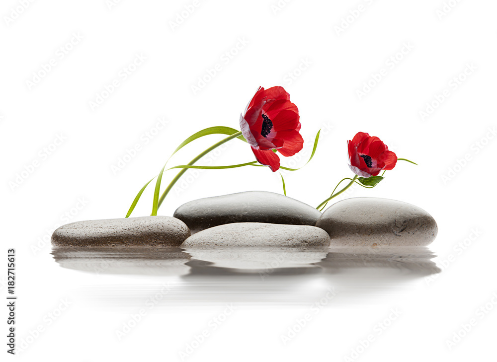 spa de flores y piedras sobre agua Stock Photo | Adobe Stock