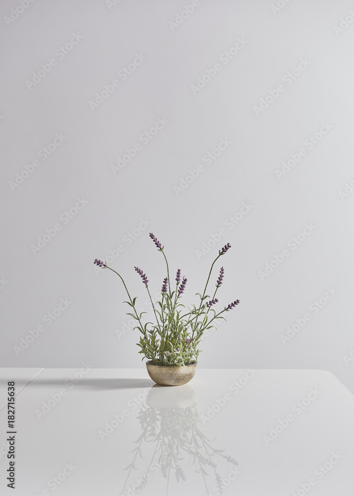white background and white table vase of flower style