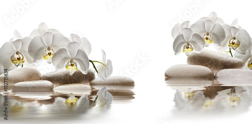 Photography spa de flores y piedras sobre agua