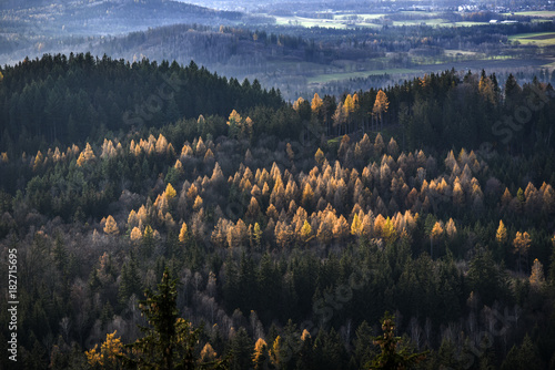 Autumn mountain forest landscape. Giant Mountains  Poland