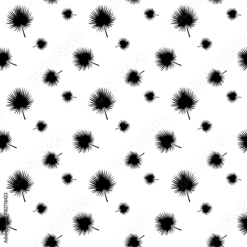 Black and White silhouette of leaf Libistones of Chinese, Southern palm. Seamless pattern. Vector Illustration.