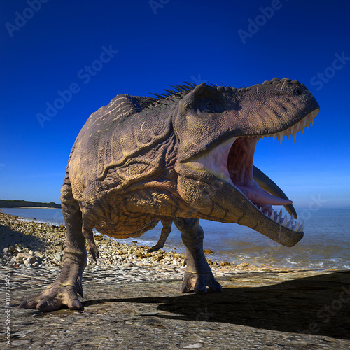 t rex on the beach © DM7