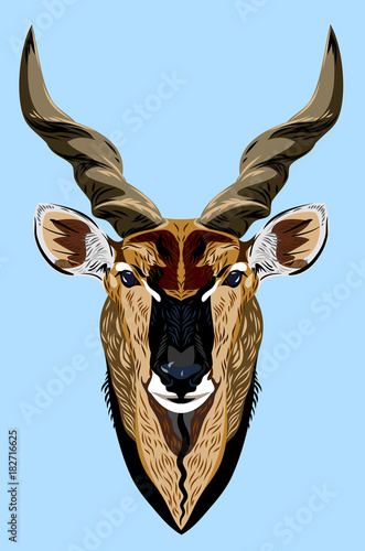 Picture of a horned goat