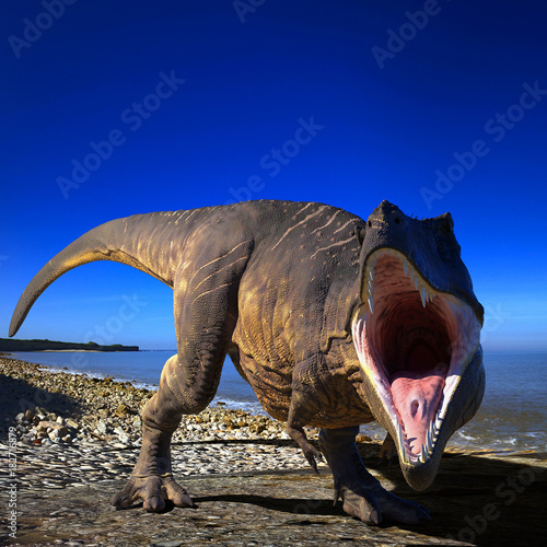 t rex on the beach ready to deffend him self © DM7
