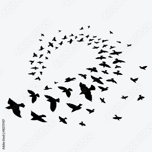 Silhouette of a flock of birds. Black contours of flying birds. Flying pigeons. Tattoo.