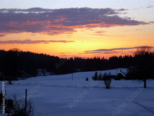 Winter orange sky