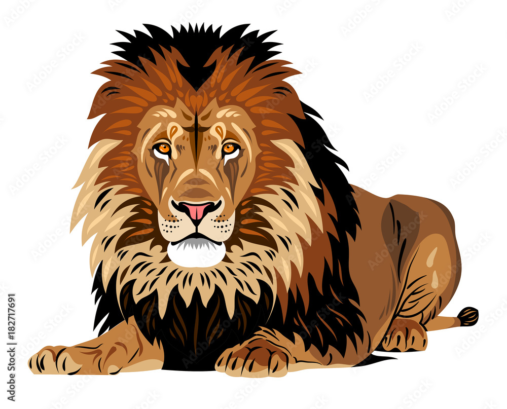 Obraz premium Portret leżącego lwa