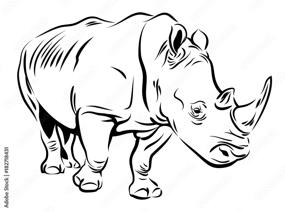 Vector image of a rhinoceros